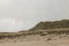 dunes and birds at the coast of sylt
