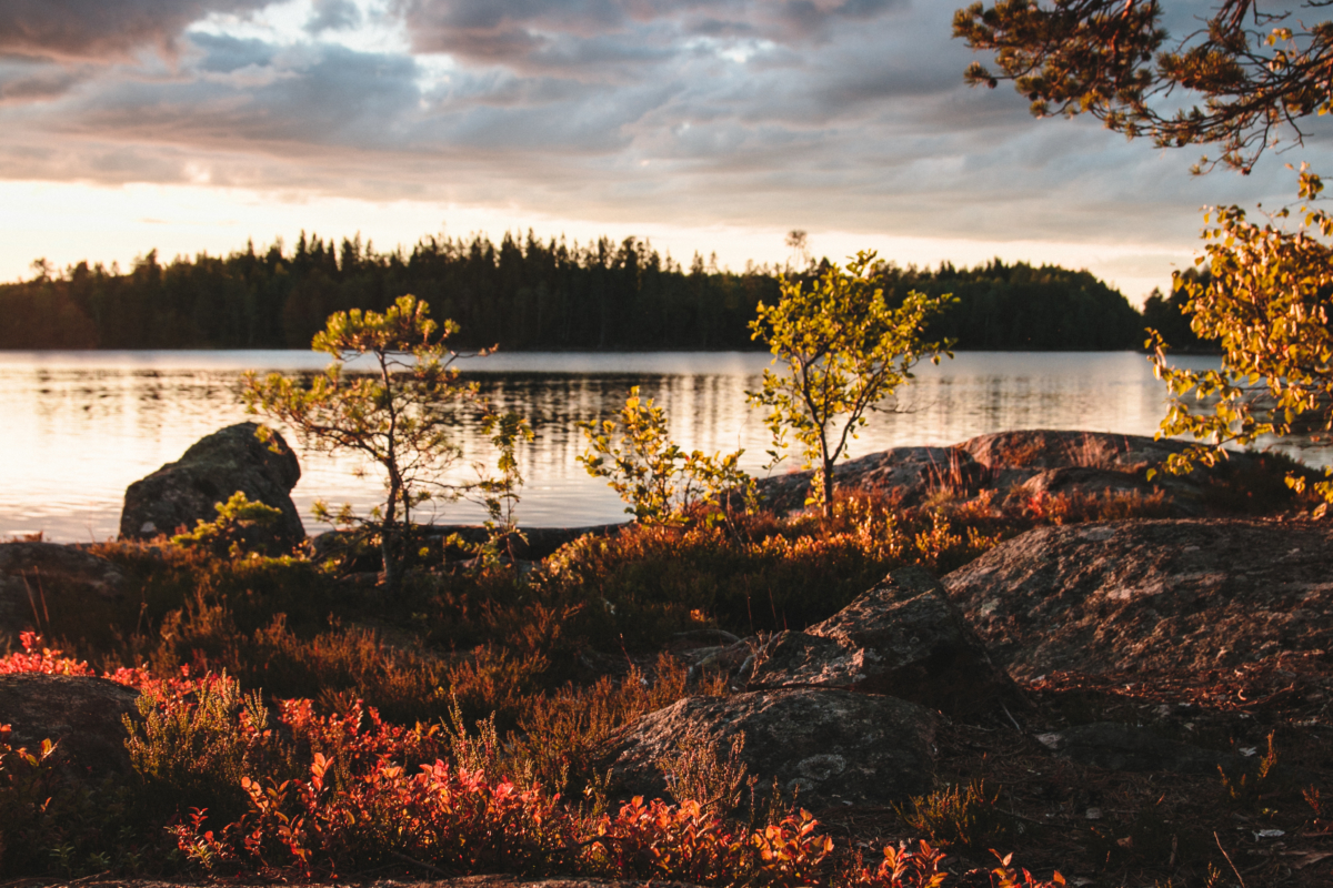 Exploring the Swedish Dalsland by Canoe - Run, Humans